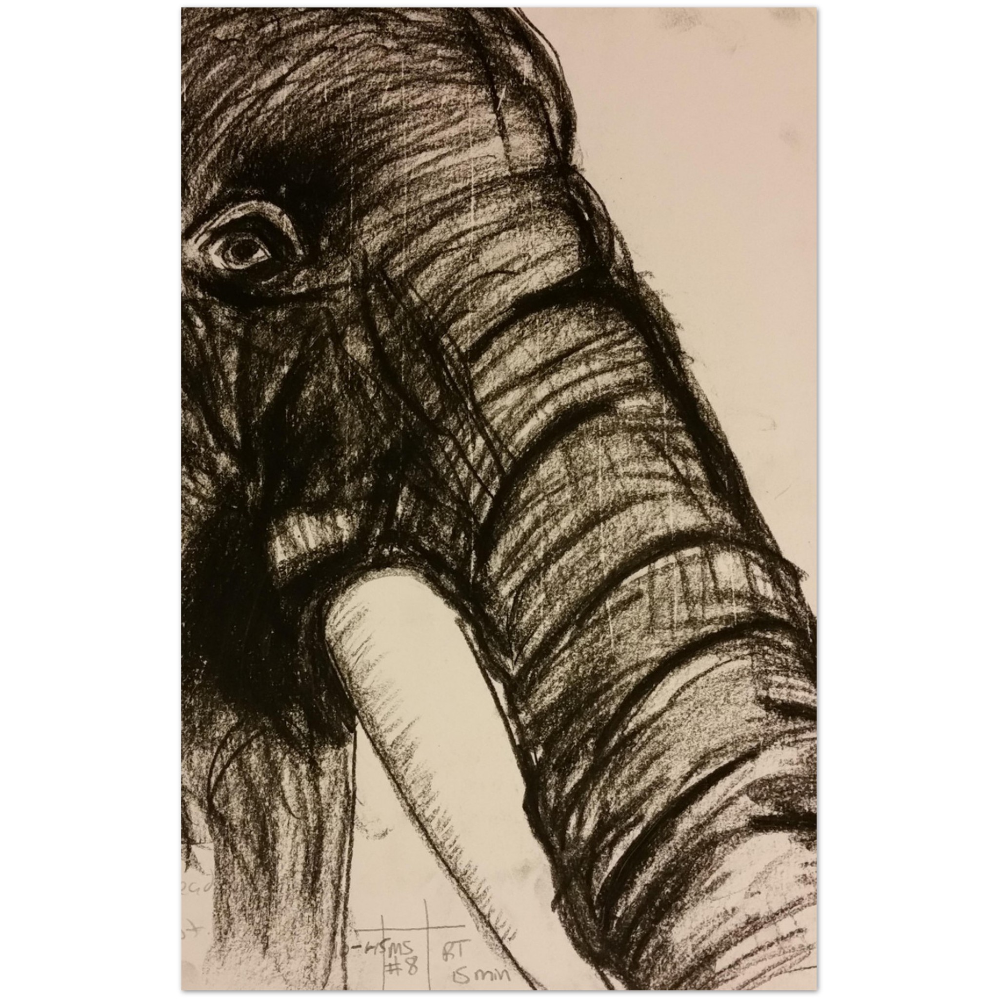 33cb2818-ea37-47ab-b2fb-d202327433d7